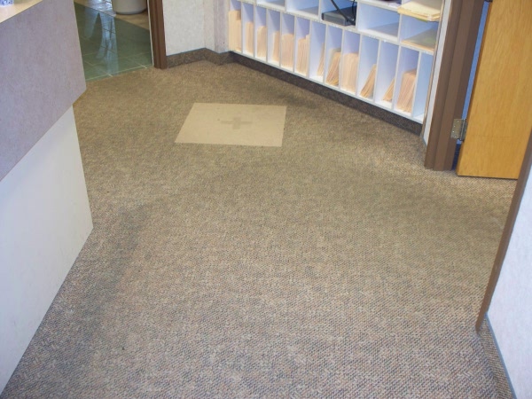 Carpet Cleaning Comparison