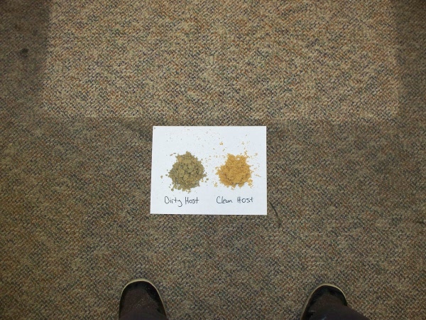 Dry Carpet Cleaning Example